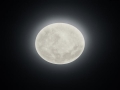 627514000.jpg