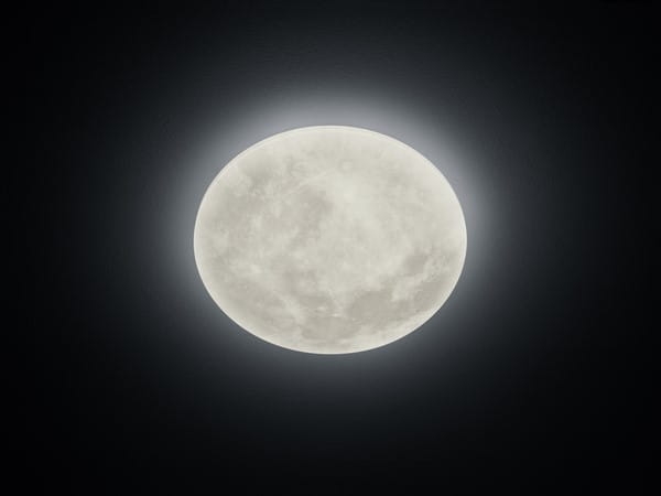 627514000.jpg