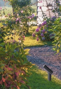 Antracytowa lampa do oświetlenia roślin wbijana w ziemię Lucide 27894/05/29 Tatum LED 4,5W 3000K IP65 30stopni