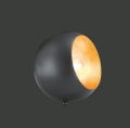 R50101032.jpg