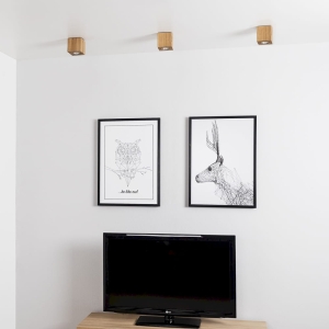 Lampa sufitowa kostka box drewniana dębowa Spot-Light 2076174 Drewno Dębowe Wooddream GU10 10x10cm