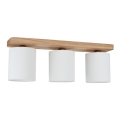 8512374.jpg