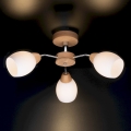 8320374_1.jpg