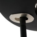1477ZW-10.jpg
