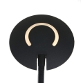 7972ZW-6.jpg