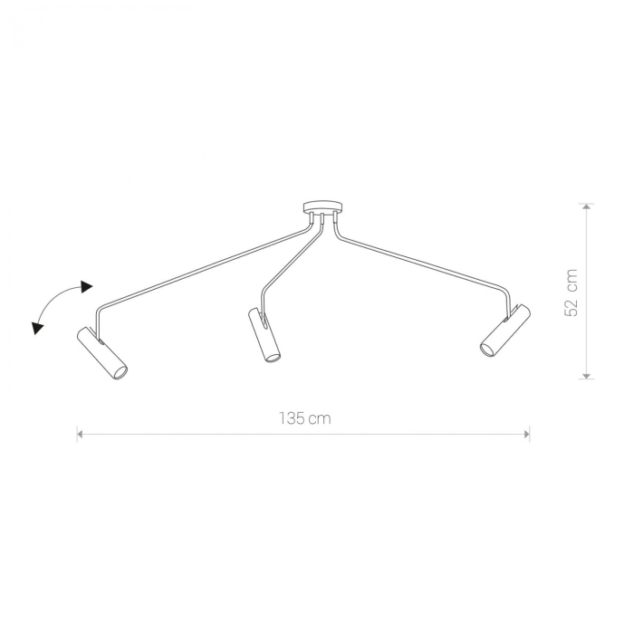 6504.jpg