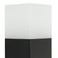 CB-830 BL-2.jpg